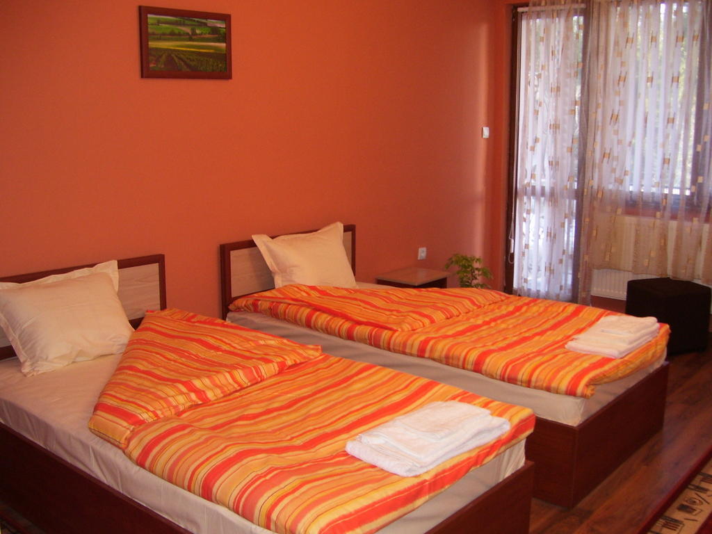 Kestenite Family Hotel Samokov Værelse billede